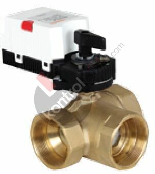 GR-BOLBJ2510KB225C024T05 / MOTORLU VANA 3Y DN25 ORANSAL